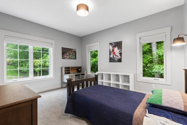 8580 Maple View Dr, Cologne, MN 55322 - bedroom featuring multiple windows, light colored carpet, and baseboards
