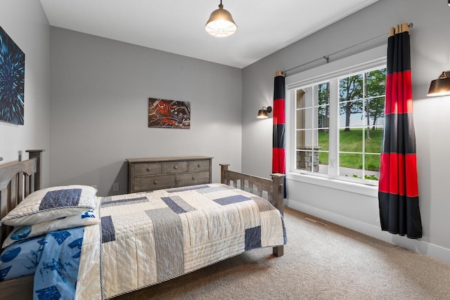 8580 Maple View Dr, Cologne, MN 55322 - carpeted bedroom featuring baseboards