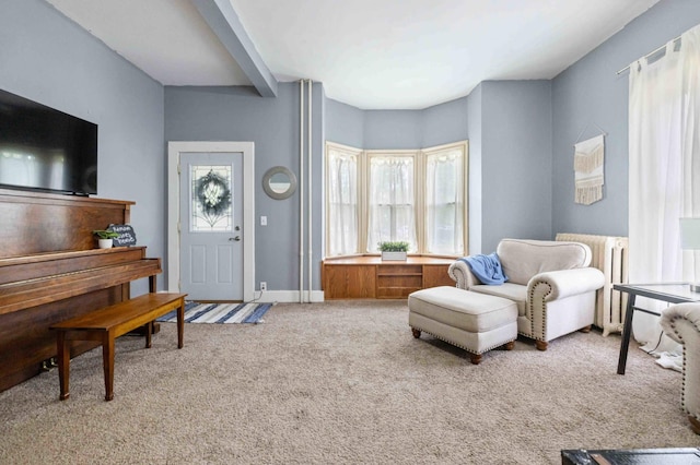 504 4th St, Brainerd, MN 56401 - living room featuring radiator, light colored carpet, and baseboards
