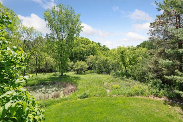 9375 Cold Stream Ln, Eden Prairie, MN 55347 - view of grassy yard featuring a forest view