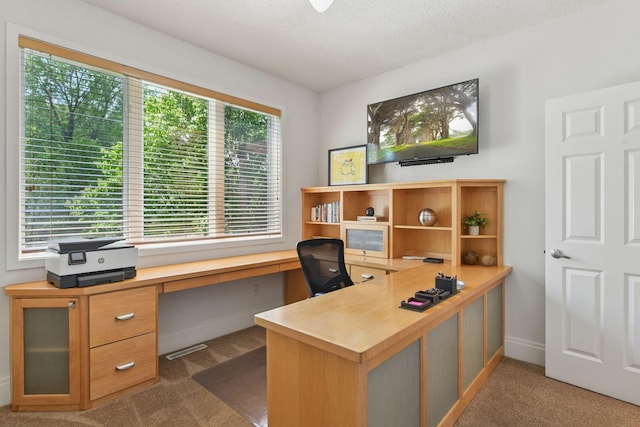 9375 Cold Stream Ln, Eden Prairie, MN 55347 - carpeted home office featuring a textured ceiling and baseboards