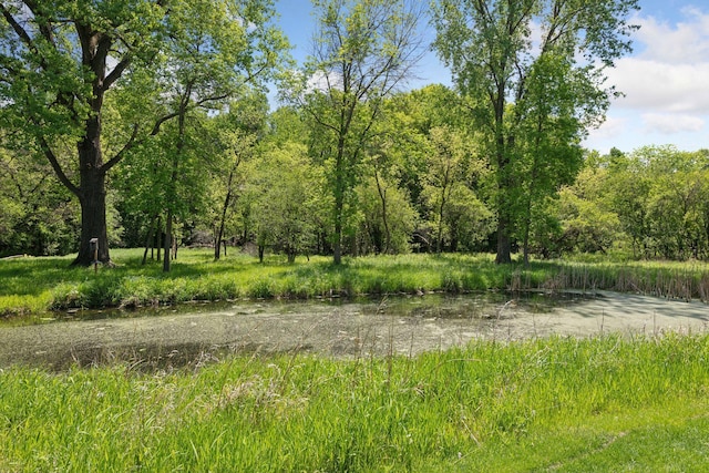 9375 Cold Stream Ln, Eden Prairie, MN 55347 - view of tree filled area