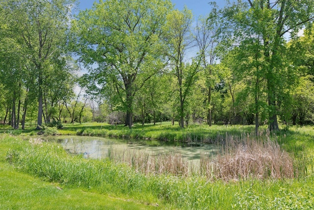 9375 Cold Stream Ln, Eden Prairie, MN 55347 - view of undeveloped land featuring a large body of water