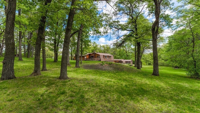998 Vermont Lake Rd NW, Parkers Prairie, MN 56361 - photo 82