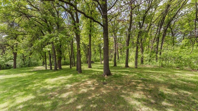 998 Vermont Lake Rd NW, Parkers Prairie, MN 56361 - photo 83