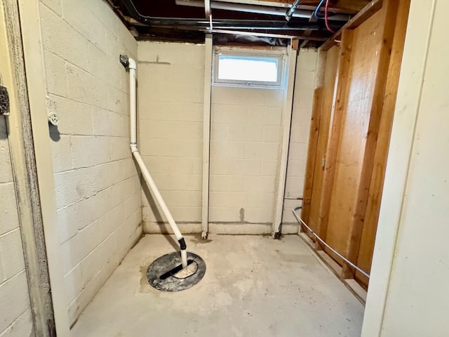 115 1st St SE, Pelican Rapids, MN 56572 - basement with concrete block wall