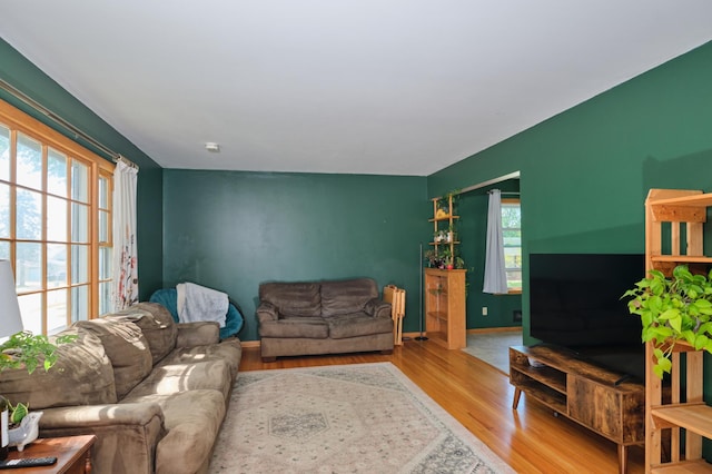 2003 20th Ave NW, Rochester, MN 55901 - living area featuring wood finished floors and baseboards
