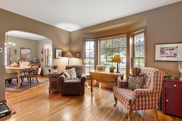 1306 3rd Ave SW, Austin, MN 55912 - sitting room with a textured wall, light wood finished floors, and arched walkways
