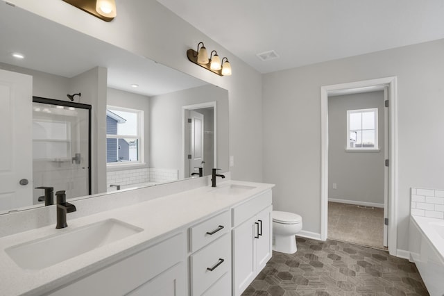 10664 29th St NE, Saint Michael, MN 55376 - bathroom featuring plenty of natural light, double vanity, a bath, and a stall shower