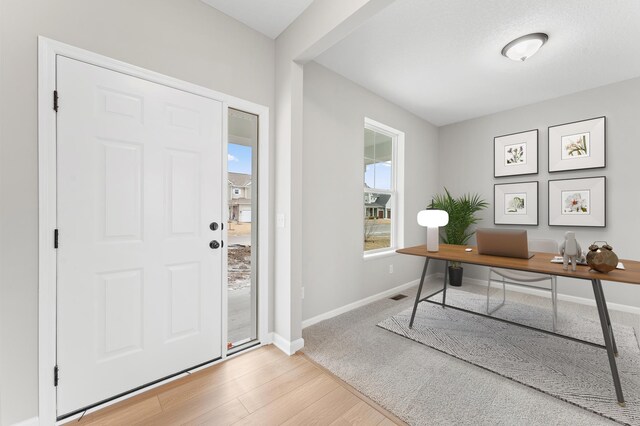 10664 29th St NE, Saint Michael, MN 55376 - entrance foyer with baseboards and light wood-style flooring