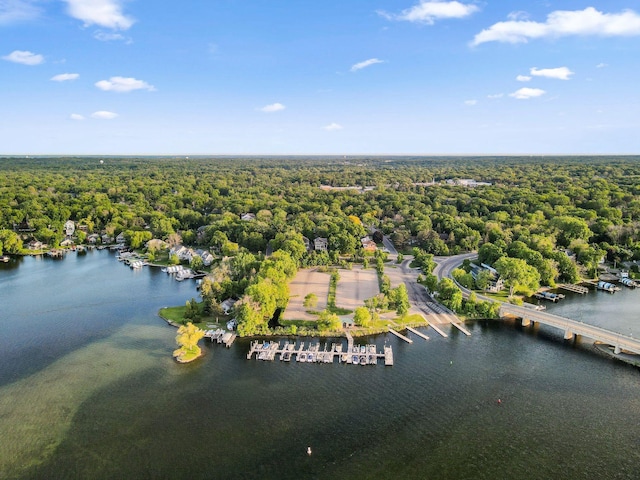 17209 Grays Bay Blvd, Minnetonka, MN 55391 - bird's eye view of a forest and a nearby body of water