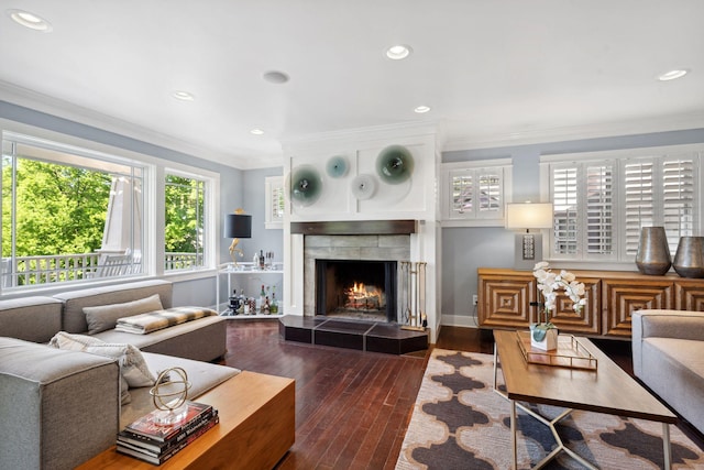 17209 Grays Bay Blvd, Minnetonka, MN 55391 - living area with dark wood-type flooring, a tile fireplace, ornamental molding, recessed lighting, and baseboards