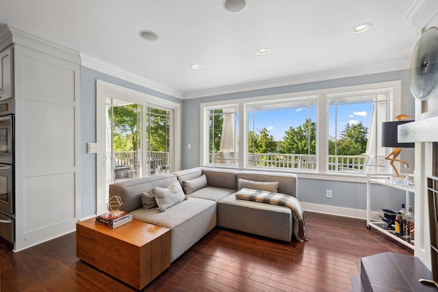 17209 Grays Bay Blvd, Minnetonka, MN 55391 - living area with baseboards, dark wood-style flooring, crown molding, and recessed lighting