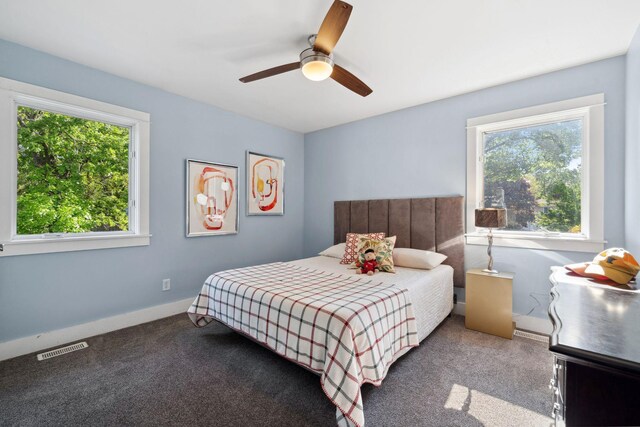 17209 Grays Bay Blvd, Minnetonka, MN 55391 - carpeted bedroom featuring multiple windows, baseboards, and a ceiling fan