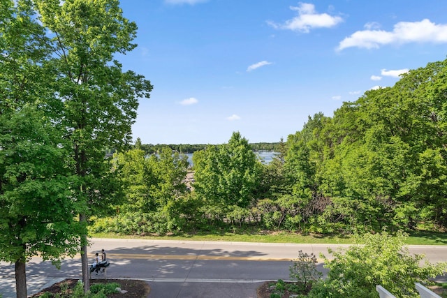 17209 Grays Bay Blvd, Minnetonka, MN 55391 - view of asphalt road