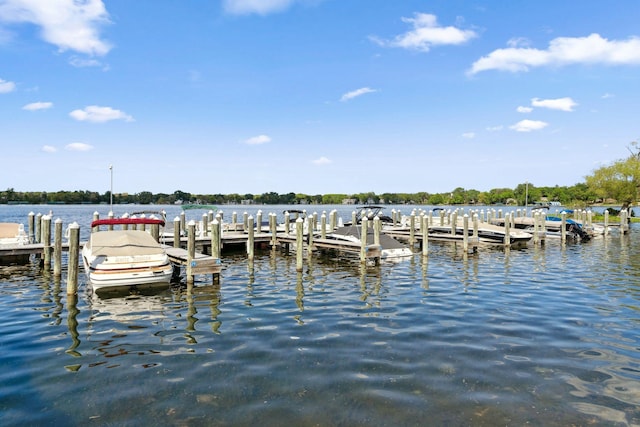 17209 Grays Bay Blvd, Minnetonka, MN 55391 - dock area with a water view