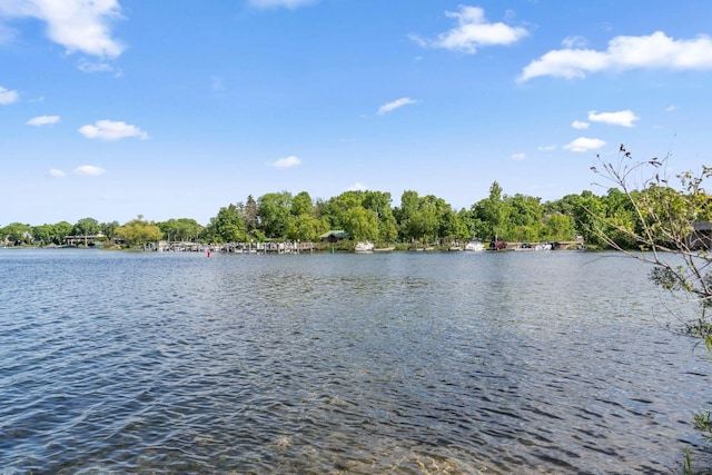 17209 Grays Bay Blvd, Minnetonka, MN 55391 - water view