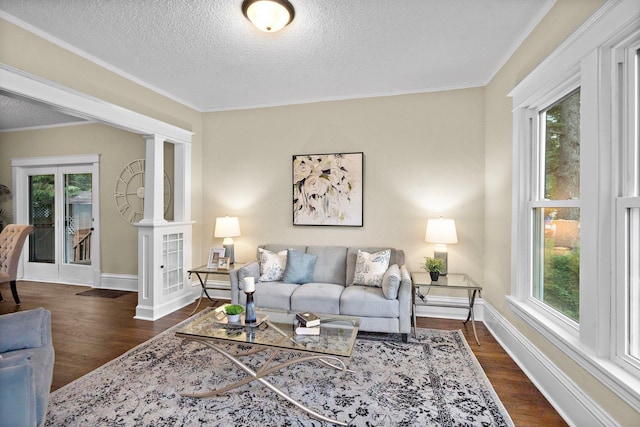 248 Ivy Ave W, Saint Paul, MN 55117 - living room featuring plenty of natural light, baseboards, dark wood finished floors, a textured ceiling, and ornamental molding