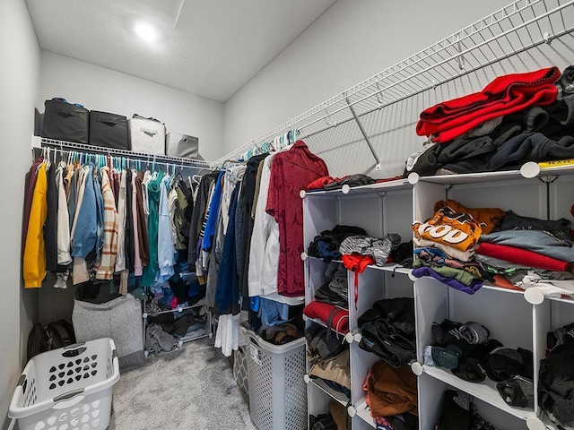 14540 112th Ave N, Dayton, MN 55369 - spacious closet with carpet