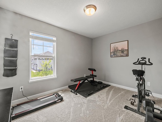 14540 112th Ave N, Dayton, MN 55369 - exercise area featuring baseboards and carpet