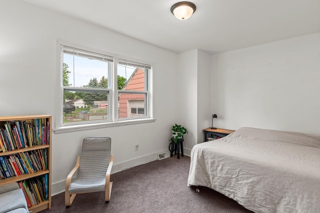 460 Broadway St E, New Germany, MN 55367 - bedroom with carpet and baseboards