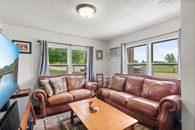 460 Broadway St E, New Germany, MN 55367 - living area featuring an AC wall unit, a textured ceiling, and plenty of natural light