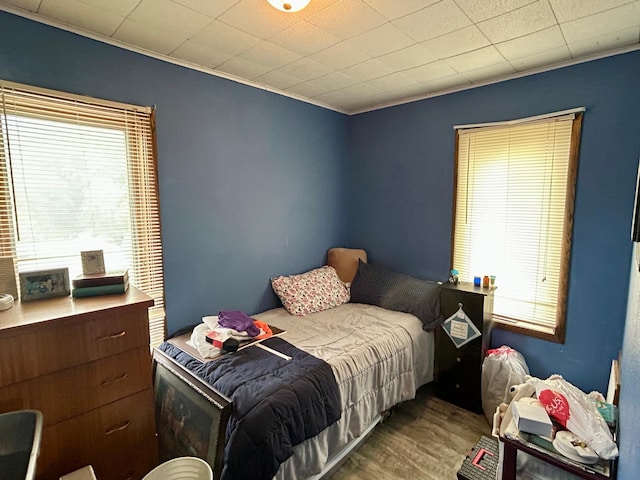 214 2nd St SW, Wadena, MN 56482 - bedroom featuring multiple windows, wood finished floors, and crown molding