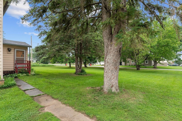 45 Center Ave N, Elgin, MN 55932 - photo 33