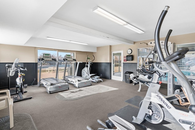 10720 Rockford Rd Unit 113, Plymouth, MN 55442 - workout area featuring carpet
