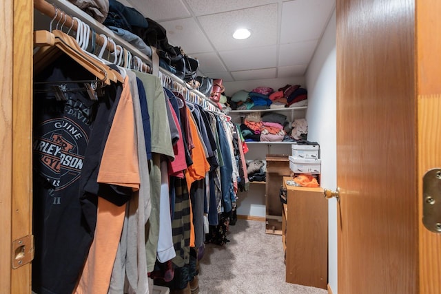 1941 230th St, Saint Croix Falls, WI 54024 - walk in closet with a paneled ceiling and carpet floors