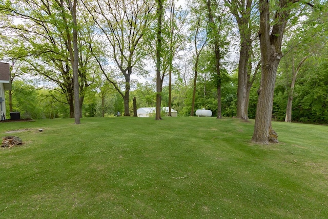 1941 230th St, Saint Croix Falls, WI 54024 - view of green lawn