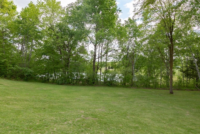 1941 230th St, Saint Croix Falls, WI 54024 - view of green lawn
