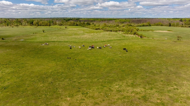 36037 678th St, Hill Lake Twp, MN 55748 - aerial view of sparsely populated area