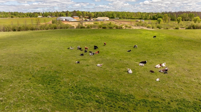 36037 678th St, Hill Lake Twp, MN 55748 - view of rural area