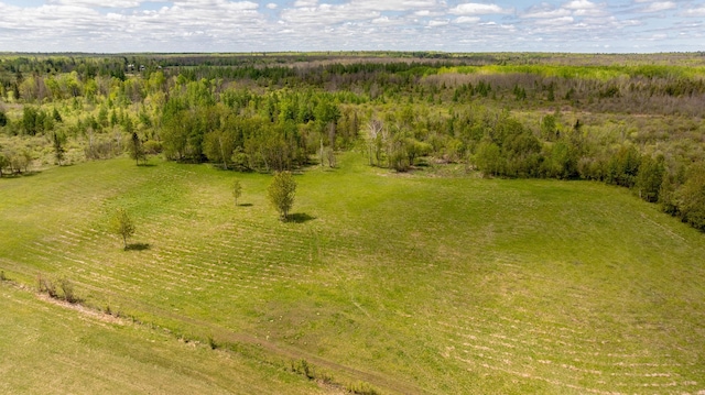 36037 678th St, Hill Lake Twp, MN 55748 - drone / aerial view