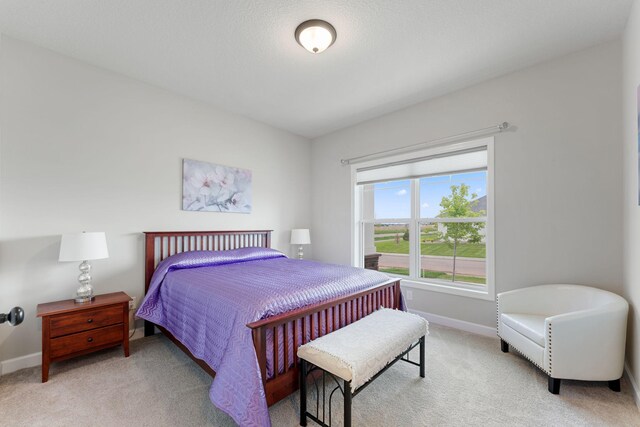 14958 Artaine Trl, Rosemount, MN 55068 - photo 24