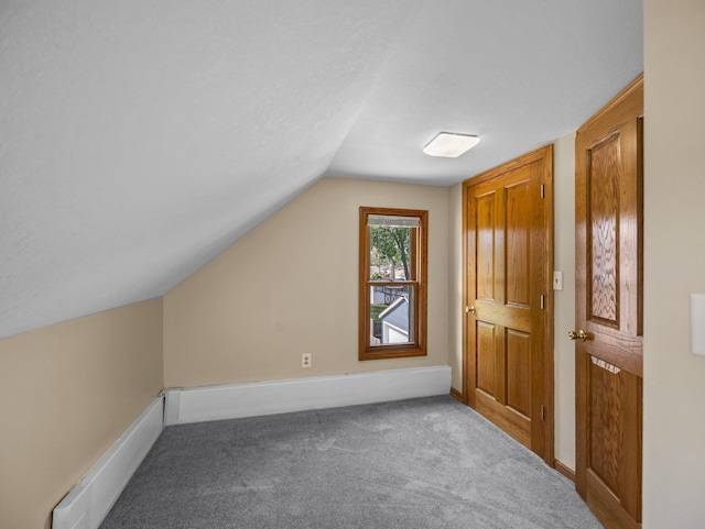 5252 5th St NE, Columbia Heights, MN 55421 - bonus room featuring vaulted ceiling and carpet flooring