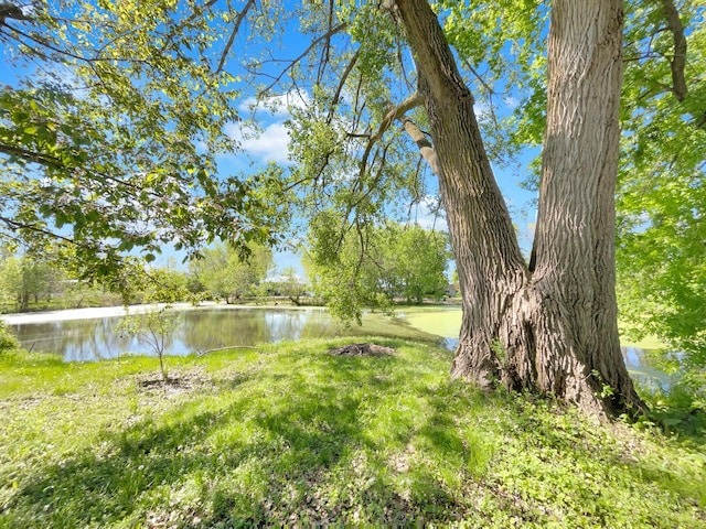 5617 220th St N, Forest Lake, MN 55025 - view of yard with a water view