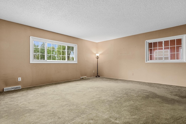 1700 Laramie Trl, Brooklyn Park, MN 55444 - unfurnished room featuring carpet and a textured ceiling