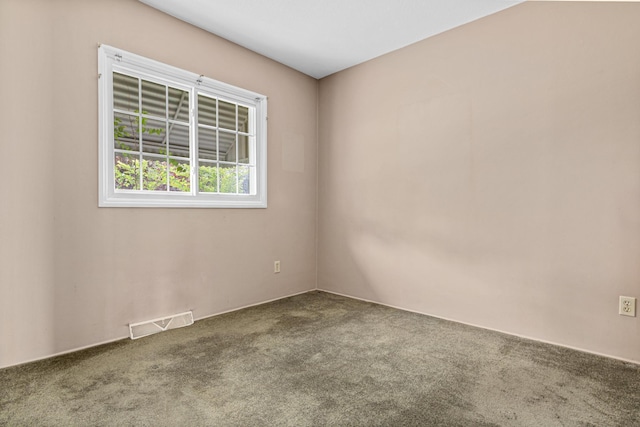 1700 Laramie Trl, Brooklyn Park, MN 55444 - spare room with carpet flooring
