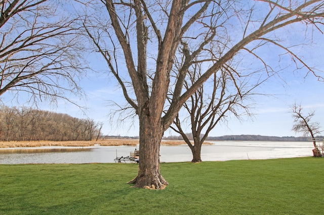 273 Alder Rd, South Haven, MN 55382 - view of grassy yard featuring a water view
