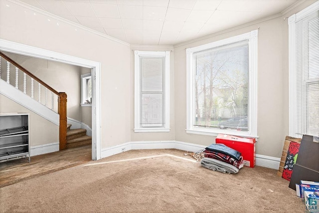 220 12th Ave E, Duluth, MN 55805 - carpeted empty room featuring crown molding, stairs, healthy amount of natural light, and baseboards