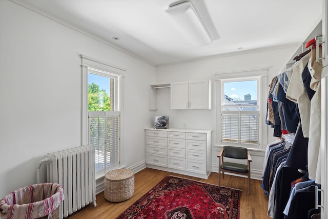 226 Grotto St S, Saint Paul, MN 55105 - walk in closet featuring radiator heating unit and wood finished floors