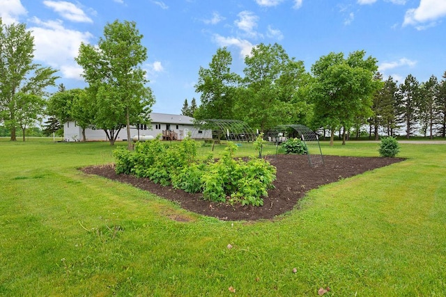 21750 County 36, Reynolds Twp, MN 56347 - view of green lawn with a carport