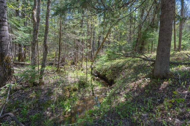 1437 Severson Rd, Summit Twp, WI 54836 - view of woods