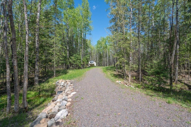 1437 Severson Rd, Summit Twp, WI 54836 - view of street featuring a forest view
