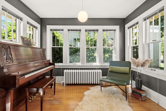4705 Lyndale Ave S, Minneapolis, MN 55419 - living area with radiator and hardwood / wood-style flooring
