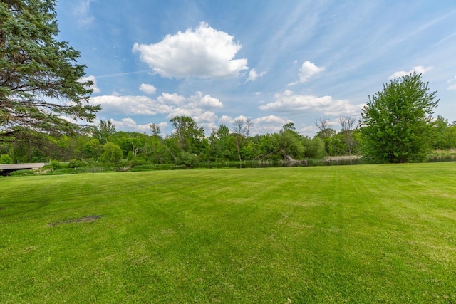 425 Franklin St, Morristown, MN 55052 - view of green lawn