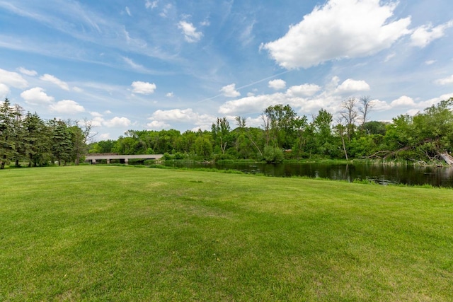 425 Franklin St, Morristown, MN 55052 - view of grassy yard with a water view and a wooded view