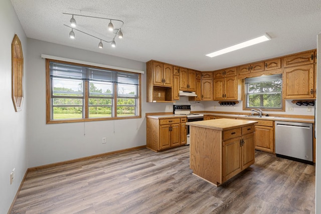 425 Franklin St, Morristown, MN 55052 - kitchen with stainless steel dishwasher, electric stove, under cabinet range hood, light countertops, and a sink